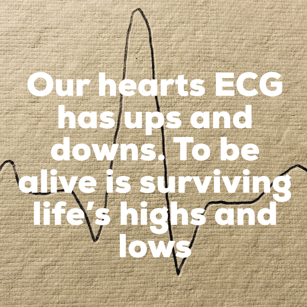 copyright laura Campbell 2019