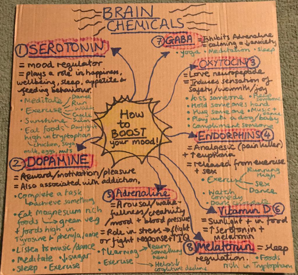 neuroscience, nutrition, wellbeing, mental health
